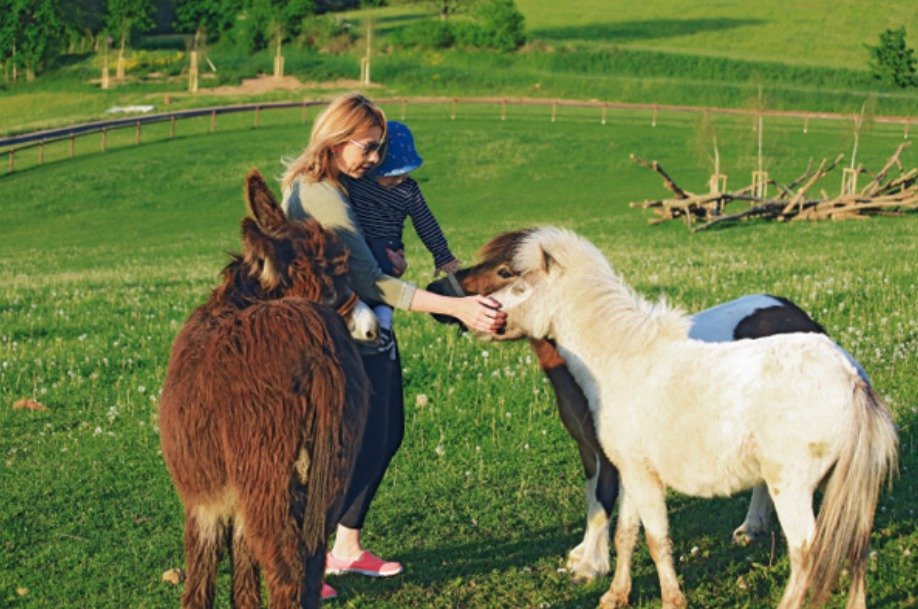 Zastavte se s dětmi ve Farmaparku Soběhrdy.