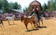 Westernové městečko Atmosféru Divokého západu si můžete vychutnat ve westernovém městečku v jihomoravských Boskovicích. Bavit se chvíli jako pravý cowboy nebo nespoutaný indián mohou nejen malí, ale i dospělí.