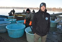 Loví rybník Bezruč: Loni při povodních ryby uplavaly, letos doufají v 50 tun