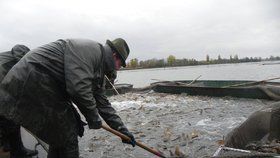 V Praze začal podzimní výlov rybníků. Vodní plochy se s předstihem vypouštějí