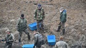 Výlov Palavy na Blanensku: Metráky kaprů, ale i líni, amuři a štiky