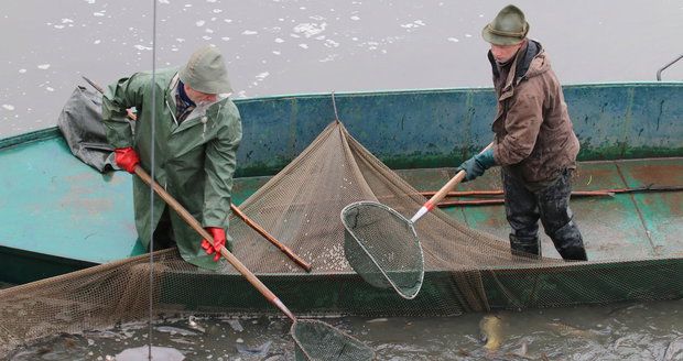 V Modřanech proběhne soutěž dětských a dorosteneckých rybářů. (Ilustrační foto)