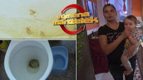 Nechutná Výměna manželek: Znečištěný záchod, pavučiny a zažraná špína!