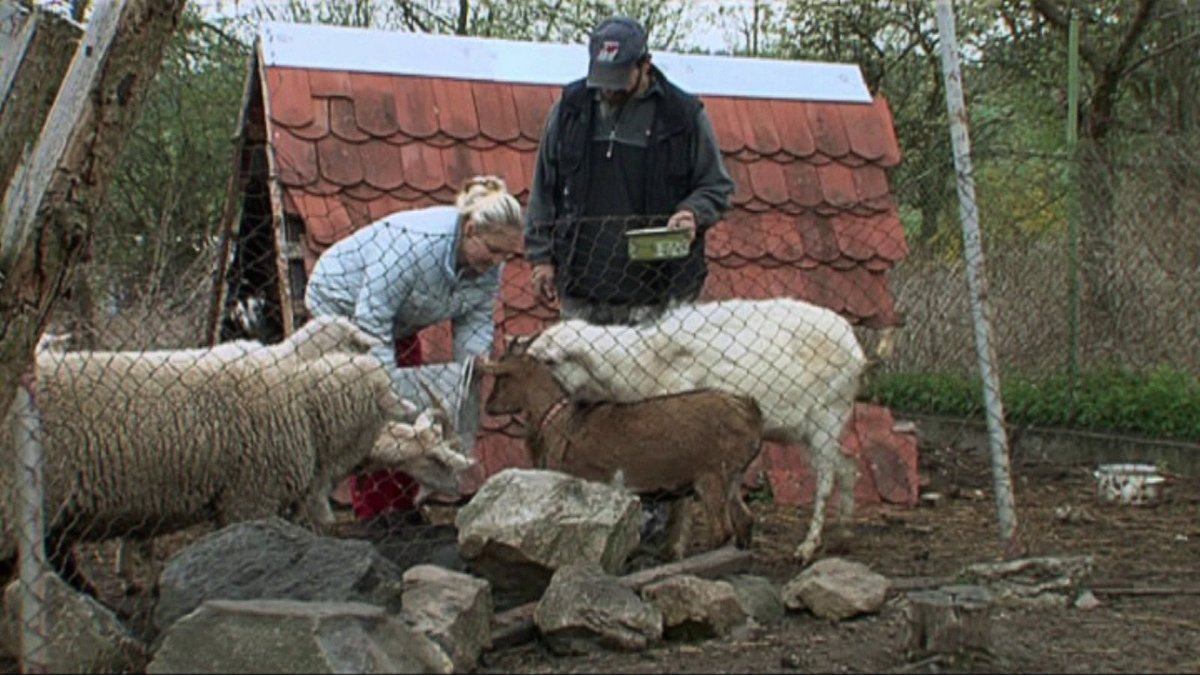 Výměna manželek z 3. června 2015