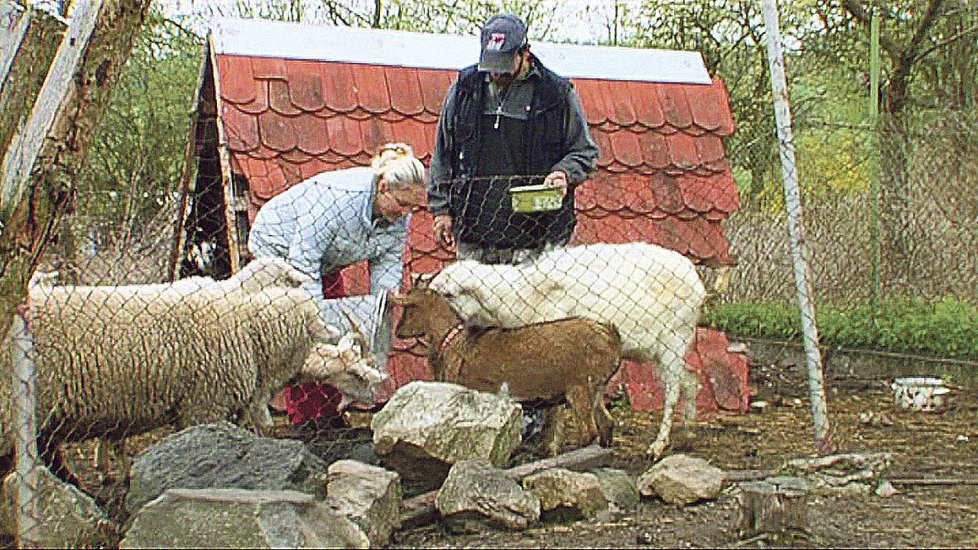 Lenka se na farmě musí postarat o zvířectvo, i když má ze zvířat strach.