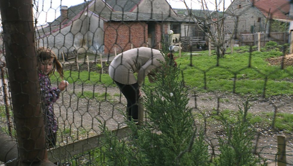 Výměna manželek