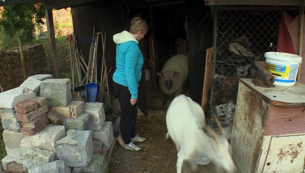 Výměna manželek - Katka si s hospodářstvím musí poradit.