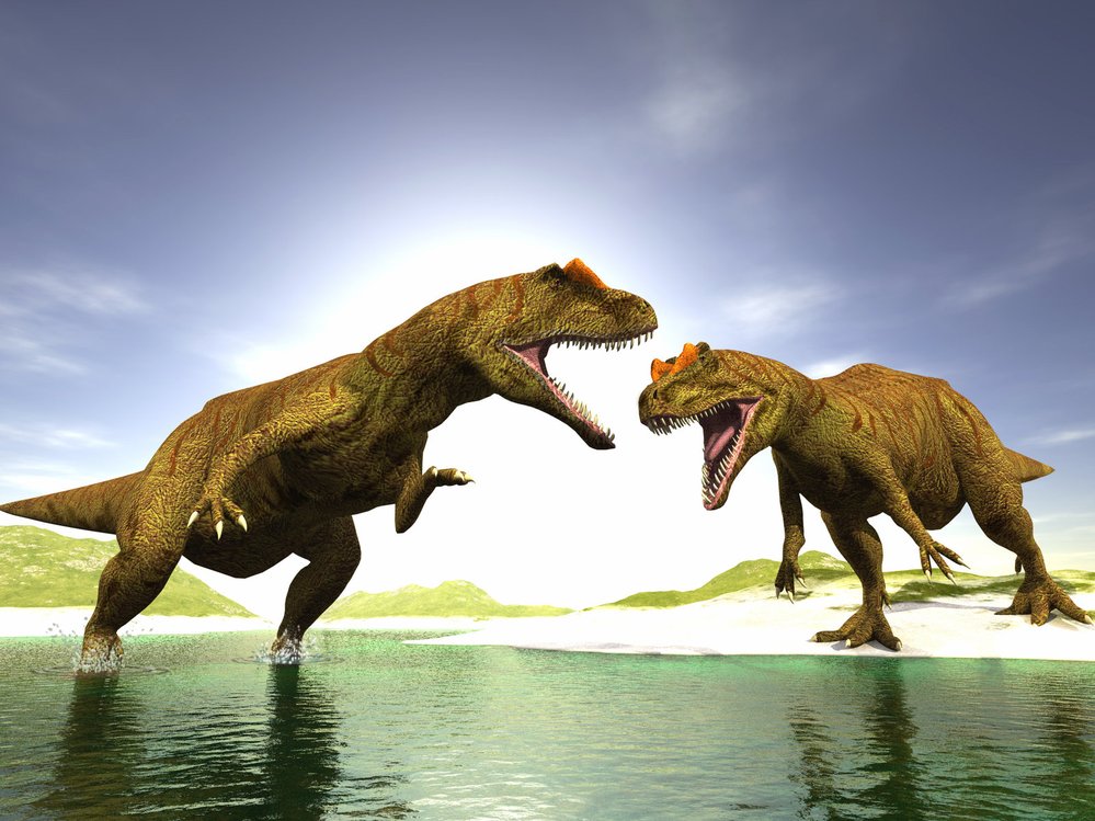 Souboj dinosaurů. Svět v období druhohor ovládli obrovští příbuzní dnešních ptáků - dinosauři. Jejich nadvládu ukončil až dopad obřího meteoritu (nebo možná mohutná sopečná činnost na Subiři.)