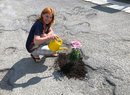 Hana Bednářová před dvěma lety vysadila na jednom z královéhradeckých náměstí přes třicet květin kvůli moři výtluků. Město na její popud komunikaci opravilo.