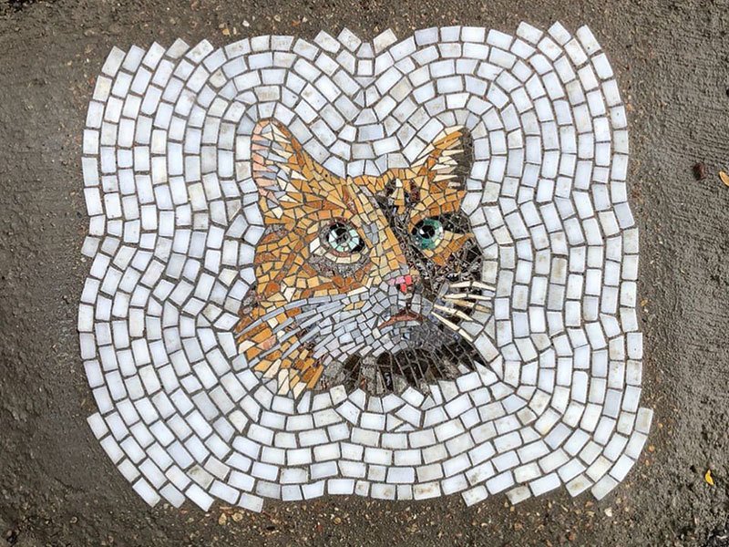 Americký profesor Jim Bachor z Michiganské státní univerzity dlouhodobě neopravené výtluky zadělává uměleckou mozaikou z kostek