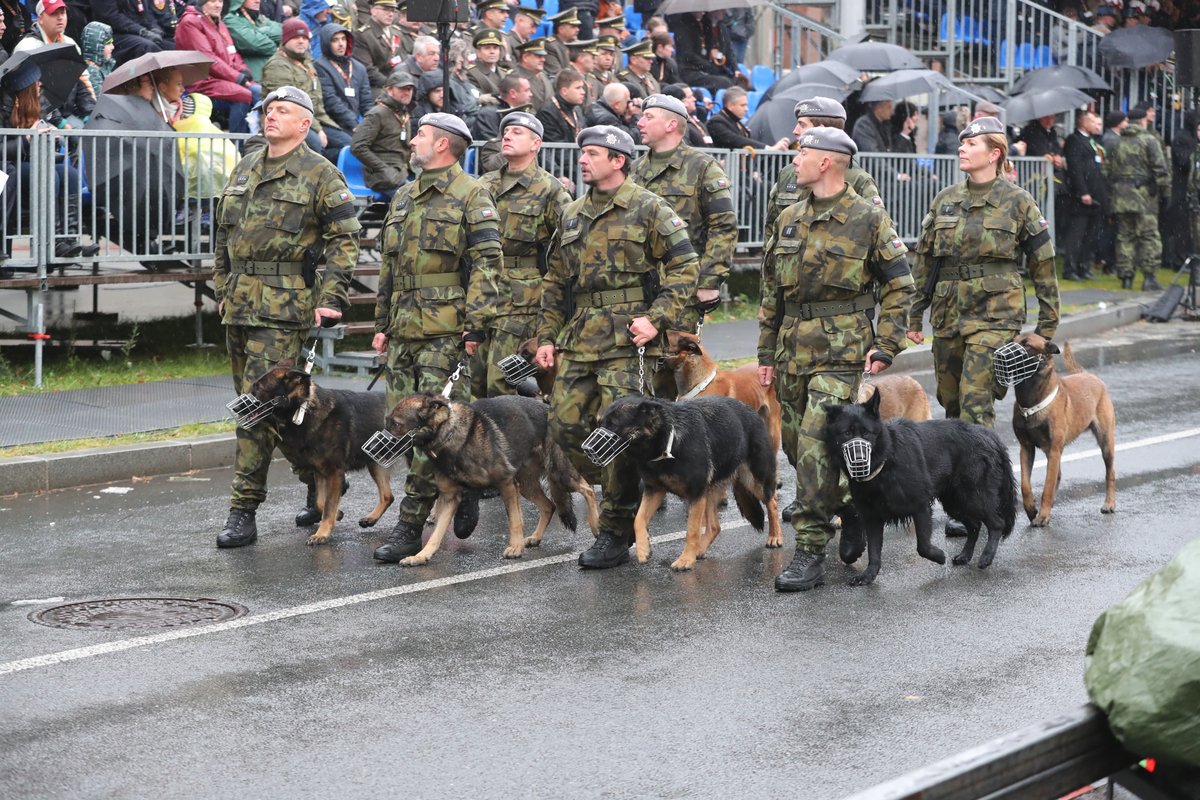 Vojenská přehlídka ke 100. výročí vzniku Československa 28. října 2018.