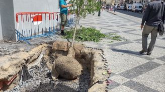 Praha má nový web. Slouží ke správě a rozvoji zeleně v metropoli