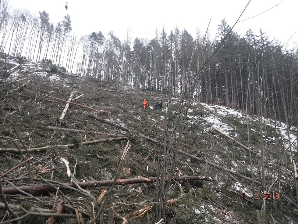 Místo tragédie - dne 1. února 2019 se z lesní lanovky uvolnil kmen stromu, který spadl na dva dělníky, jeden zemřel, druhý utrpěl zranění.