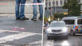 Pražští policisté v pondělí odpoledne zastavili ve Vysočanech řidiče podezřelého z krádeže motorového vozidla. Na kriminalisty začal autem najíždět a nezbylo jim nic jiného, než mu prostřelit pneumatiky. (11. října 2021)