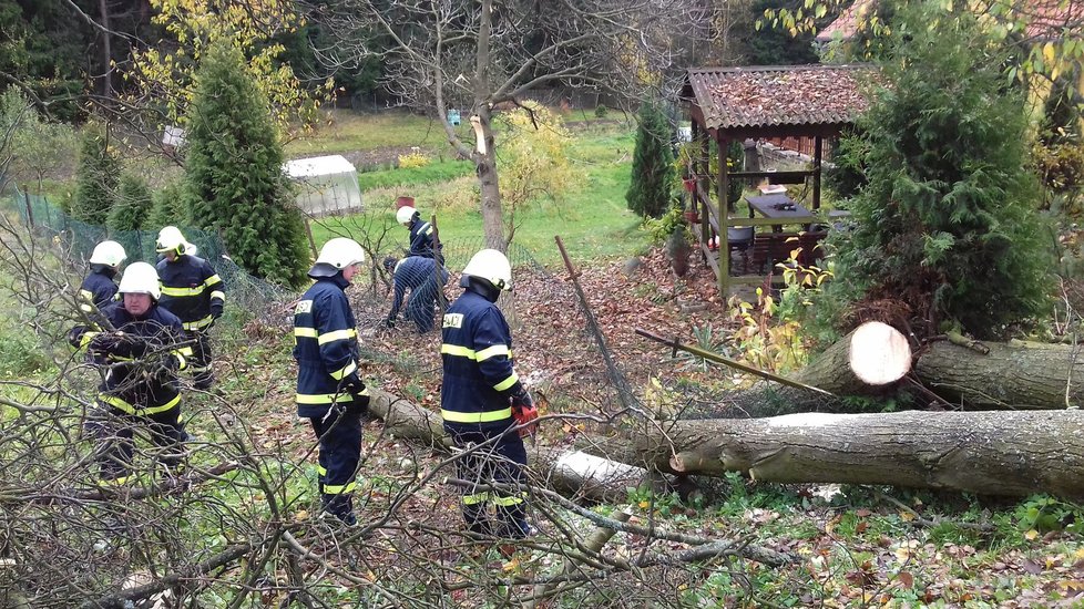 Dobrovolní hasiči z Vysočan rozřezali lípu, která se nebezpečně naklonila nad stavení v místní části Houska.