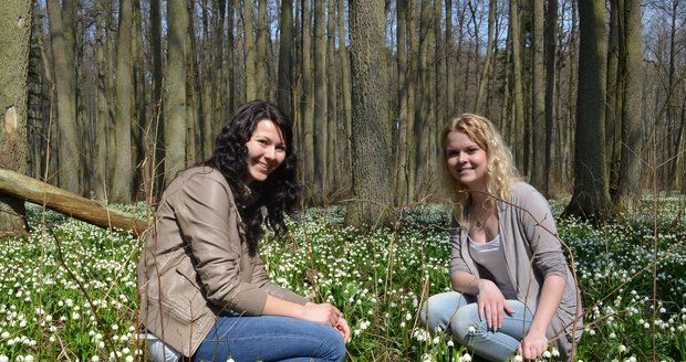 Na Vysočině už vědí, že jaro definitivně převzalo svou vládu. Koberce bělostných květů bledule jarní jsou přitom každoročně lákadlem pro stovky návštěvníků z celého Česka.
