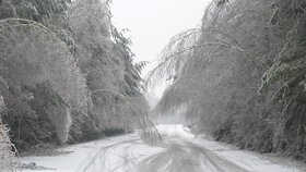 Dálnice do Polska je pro kamiony kvůli počasí uzavřená. Sněžit bude i celý víkend (ilustrační foto).