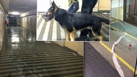 Mejdan na kolejích ukončil policejní pes