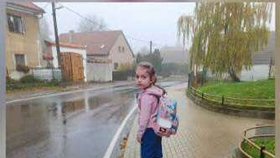 Srovnání úseku před a po umístění makety.