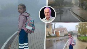 Vysoká u Mělníku zkouší nové opatření proti rychlosti: Maketa dívky v životní velikosti.