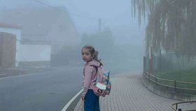 Holčička v růžové bundě vypadá, jakože se chystá přecházet.