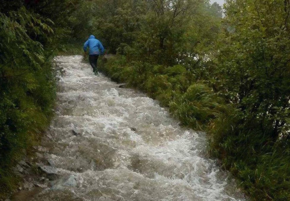 Cesta k Chatě u Zeleného plesa.