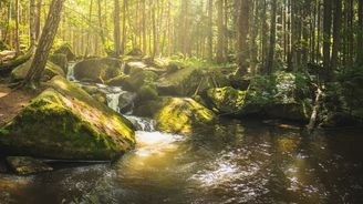 Nejjižnější vodopády v České republice jsou ukryty v malebné krajině u Vyššího Brodu