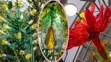 Ve skleníku rozkvetly plasty! Botanická zahrada vstupuje do nového roku avantgardní výstavou