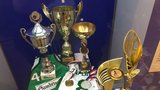 Unikátní výstava 200 let brněnského sportu: Wimbledonská trofej i 13 titulů Komety 