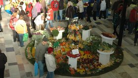 Podzimí etapa výstavy Flora Olomouc je věnována ovoci a zelenině