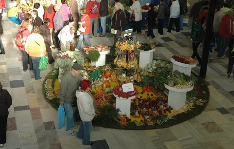 Na olomoucké výstavě Flora mají pórek Lancelot
