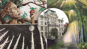 Výstava Duše stromů vyplňuje celou dlouhou chodbu magistrátu hl. m. Prahy v přízemí. K vidění jsou kolikrát pozoruhodné výtvory, na nichž se z hlediska významu i estetiky prakticky stírají věkové rozdíly.