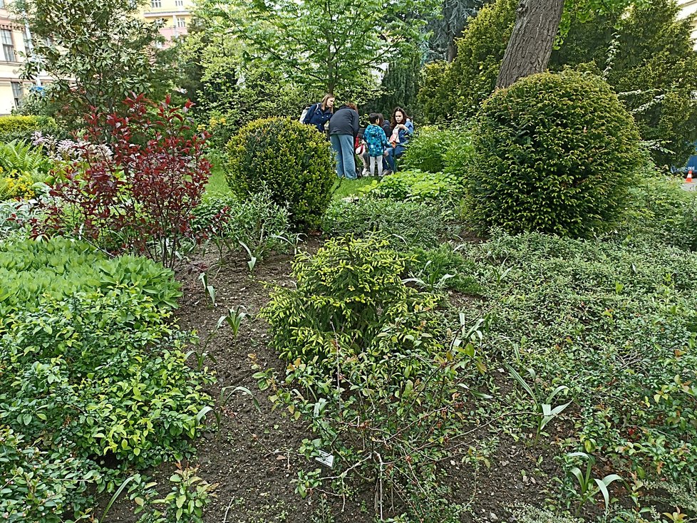 Ve venkovní expozici botanické zahrady v Kotlářské ulici je vždy plno.