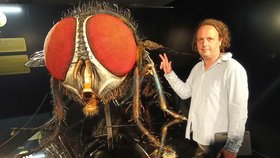 Autor výstavy, sochař a malíř Michal Olšiak (45) u „drahokamové“ mouchy bzučivky zlaté.