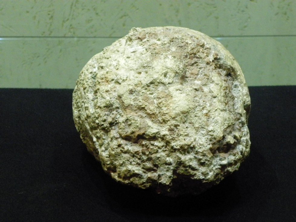 Unikátní zkamenělá mozkovna neandrtálce, jediný nález svého druhu na světě, zůstane v brněnském Anthroposu až do prosince 2017.