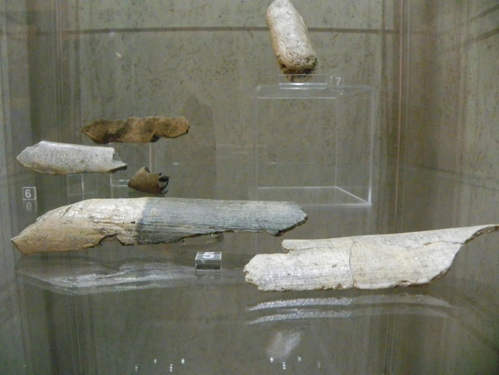 K vidění jsou i dva retušéry z mamutoviny (v popředí) z jeskyně Kůlna. Neandrtálci je používali k formování ostří kamenných nástrojů.