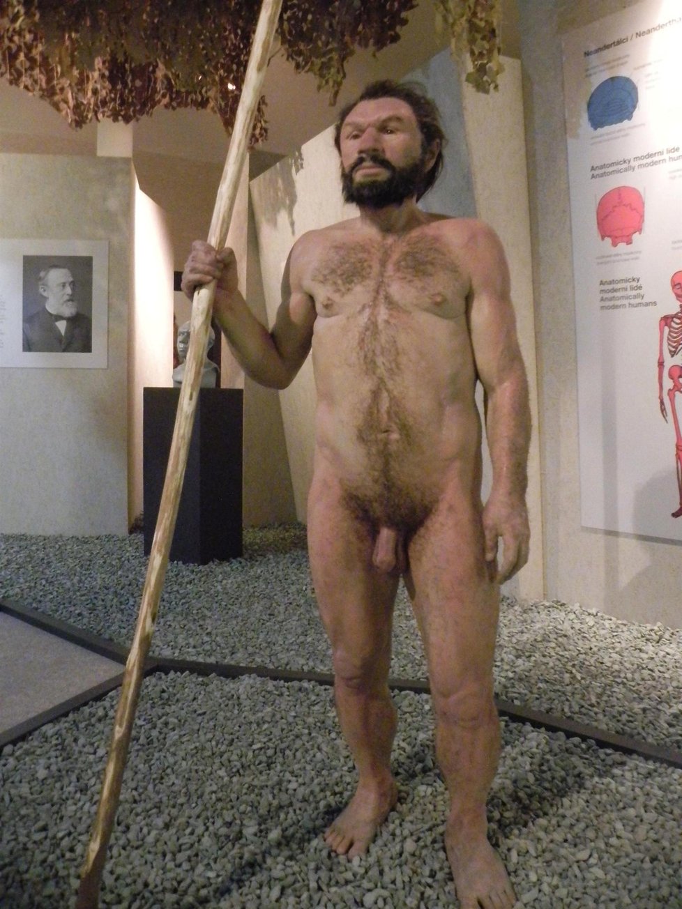 Věrohodná podoba člověka neandertálského je dílem sochaře Ondřeje Bílka. Náš stovky tisíc let vzdálený předek dosahoval výšky kolem 150 centimetrů.