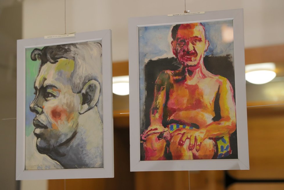 Vystavené byly hlavně portréty chovanců z ústavu pro mentálně i tělesně postižené.