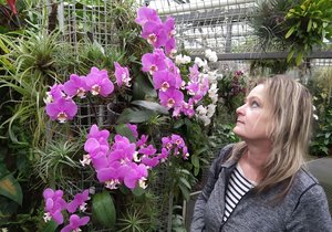 Stovky milovníků kvetoucích orchidejí v botanické zahradě Mendelovy univerzity přišly o víkendu zkrátka. Vedení univerzity rozhodlo kvůli šířícímu se koronaviru zrušit jarní výstavu pořádanou jednou za 5 let.