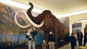  Největší zájem dětí je o mamuta. Prohlíží si ho ale i dospělí a všichni žasnou.