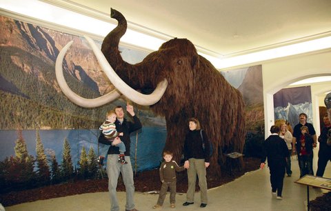Unikátní výstava modelů gigantických zvířat z doby ledové