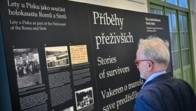 Zahájení výstavy Příběhy přeživších, kterou připravilo Centrum Romů a Sintů, 15. dubna 2024, Clam-Gallasův palác, Praha. Potrvá do 30. června 2024.