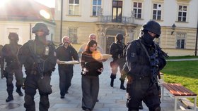 Utajený přenos zlata v Moravském zemském muzeu chránili policejní samopalníci.
