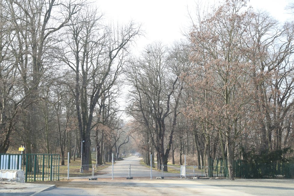 Nový vstup do Stromovky ještě zbývá osadit bránou, cesta tvořící přímku od ulice Za Elektrárnou do parku vedla už historicky.