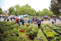 Festival jídla i zahrádkaření! Výstaviště v Českých Budějovicích hostí CZECH FOOD EXPO a HOBBY