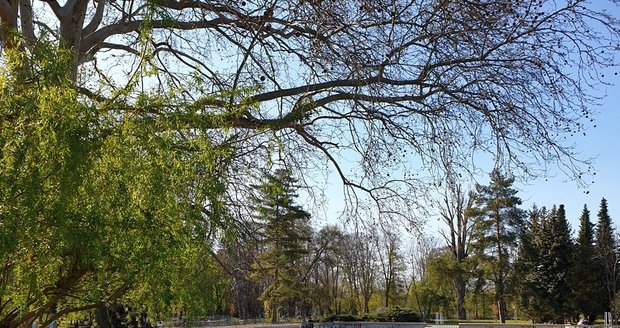 Revitalizace pražského Výstaviště. Přibudou místa na cvičení i dětské pískoviště