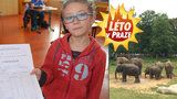 Za 1 z přírodovědy zdarma do zoo. Díky vysvědčení si ale užijete i Večerníčky či lego