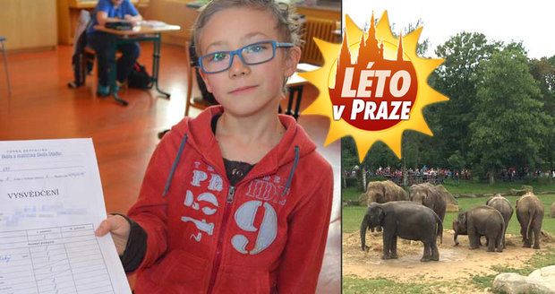 Za 1 z přírodovědy zdarma do zoo. Díky vysvědčení si ale užijete i Večerníčky či lego