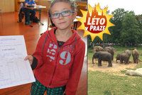 Za 1 z přírodovědy zdarma do zoo. Díky vysvědčení si ale užijete i Večerníčky či lego