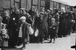 Přežila lodžské ghetto, Osvětim i pochod smrti: Vychází deník „polské Anny Frankové“